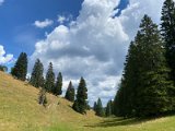 IMG_6893