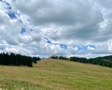 IMG_6896