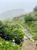 IMG_1970