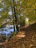 IMG_2925