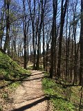 IMG_9232