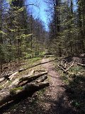IMG_9237