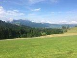 IMG_9457