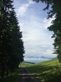 IMG_9469