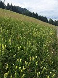 IMG_9480