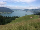 IMG_9481