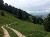 IMG_9484