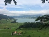 IMG_9490