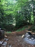 IMG_9493
