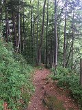 IMG_9495