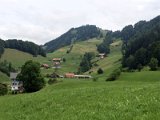 IMG_9498