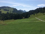 IMG_9622