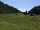 IMG_9625