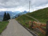 IMG_9883
