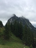 IMG_9893