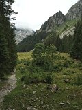 IMG_9898