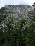 IMG_9905