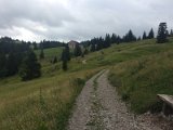 IMG_9920