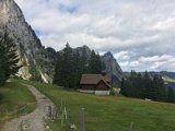 IMG_9930