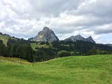IMG_9942