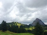 IMG_9943
