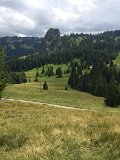 IMG_9950