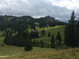 IMG_9951
