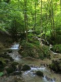 IMG_9387
