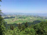 IMG_9433
