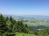 IMG_9434