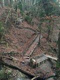 IMG_8558