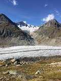 IMG_9146