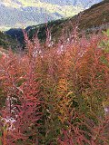 IMG_9176