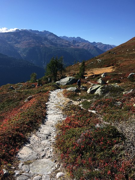 IMG_9215.JPG - Saumpfad