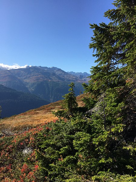 IMG_9222.JPG - Herbstheide