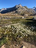 IMG_8976