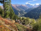 IMG_8990