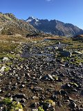 IMG_9183