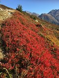 IMG_9202