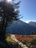 IMG_9221
