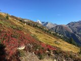 IMG_9223