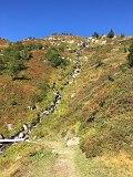 IMG_9226