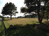 IMG_2056