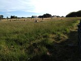 IMG_2059