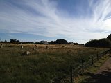 IMG_2060