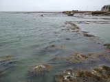 IMG_2094