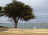 IMG_2121