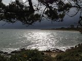 IMG_2125