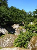 IMG_1613