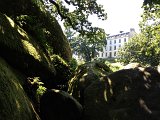 IMG_1617
